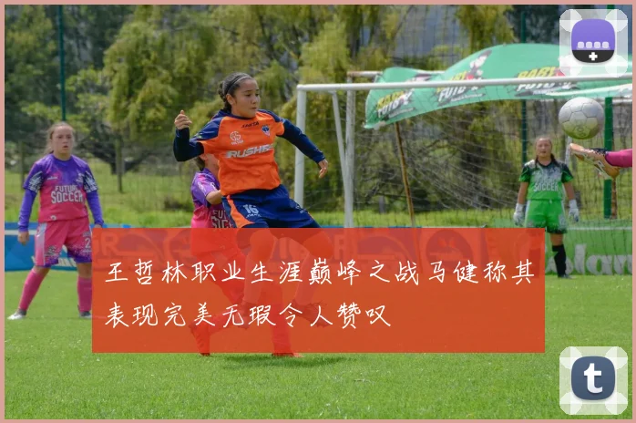 王哲林职业生涯巅峰之战马健称其表现完美无瑕令人赞叹