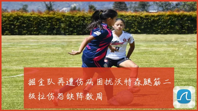 掘金队再遭伤病困扰沃特森腿筋二级拉伤恐缺阵数周
