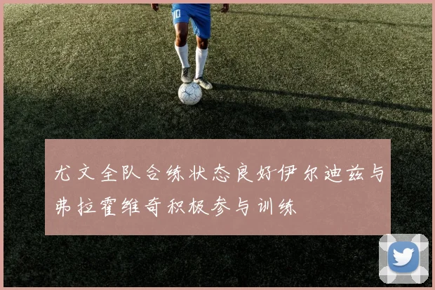 尤文全队合练状态良好伊尔迪兹与弗拉霍维奇积极参与训练