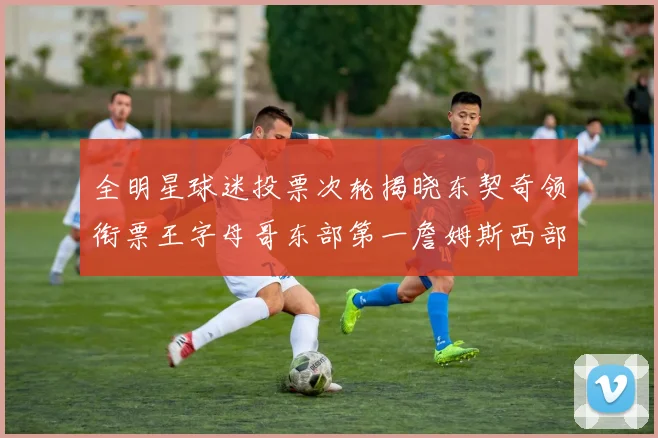 全明星球迷投票次轮揭晓东契奇领衔票王字母哥东部第一詹姆斯西部第八
